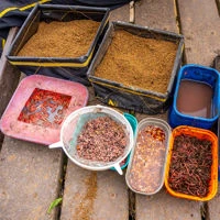 Nufish Folding Ground Bait Bowls